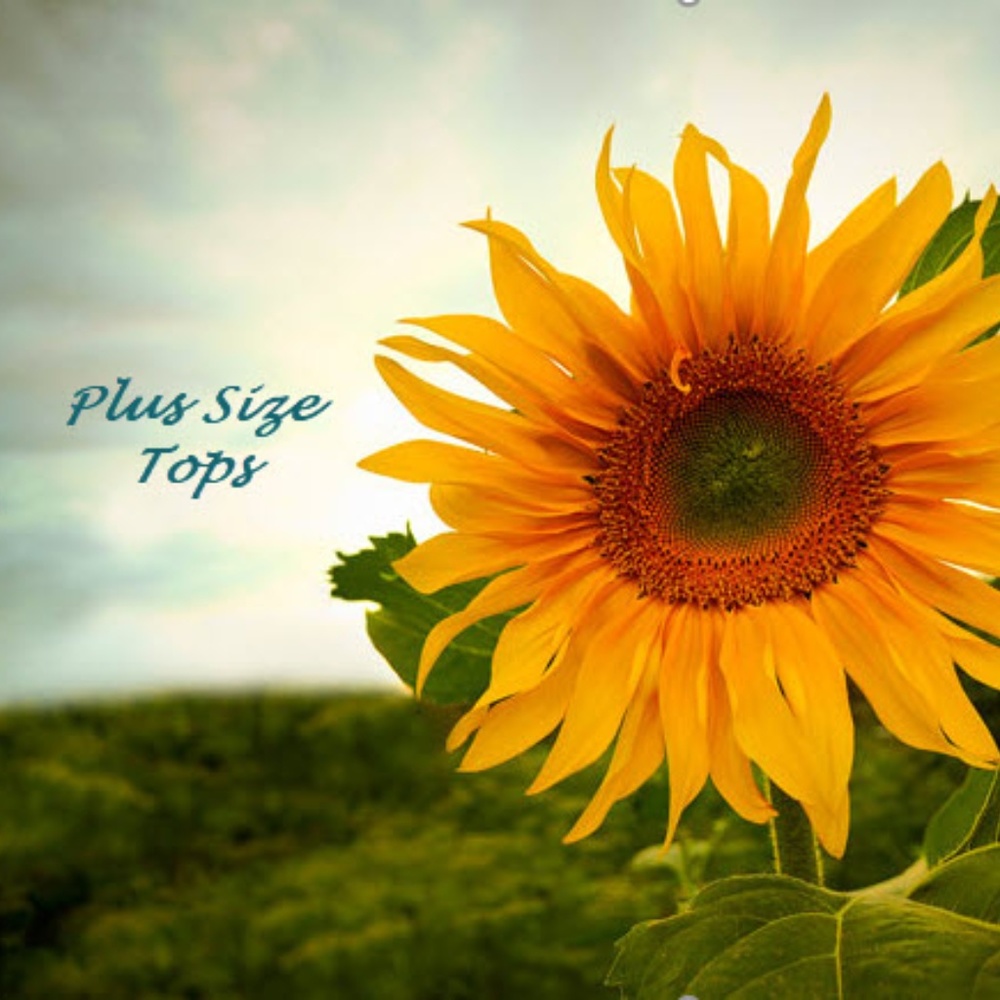Plus Size Tops